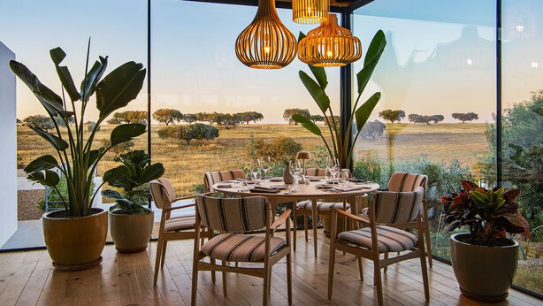 Un comedor con una mesa grande, sillas y plantas en macetas.