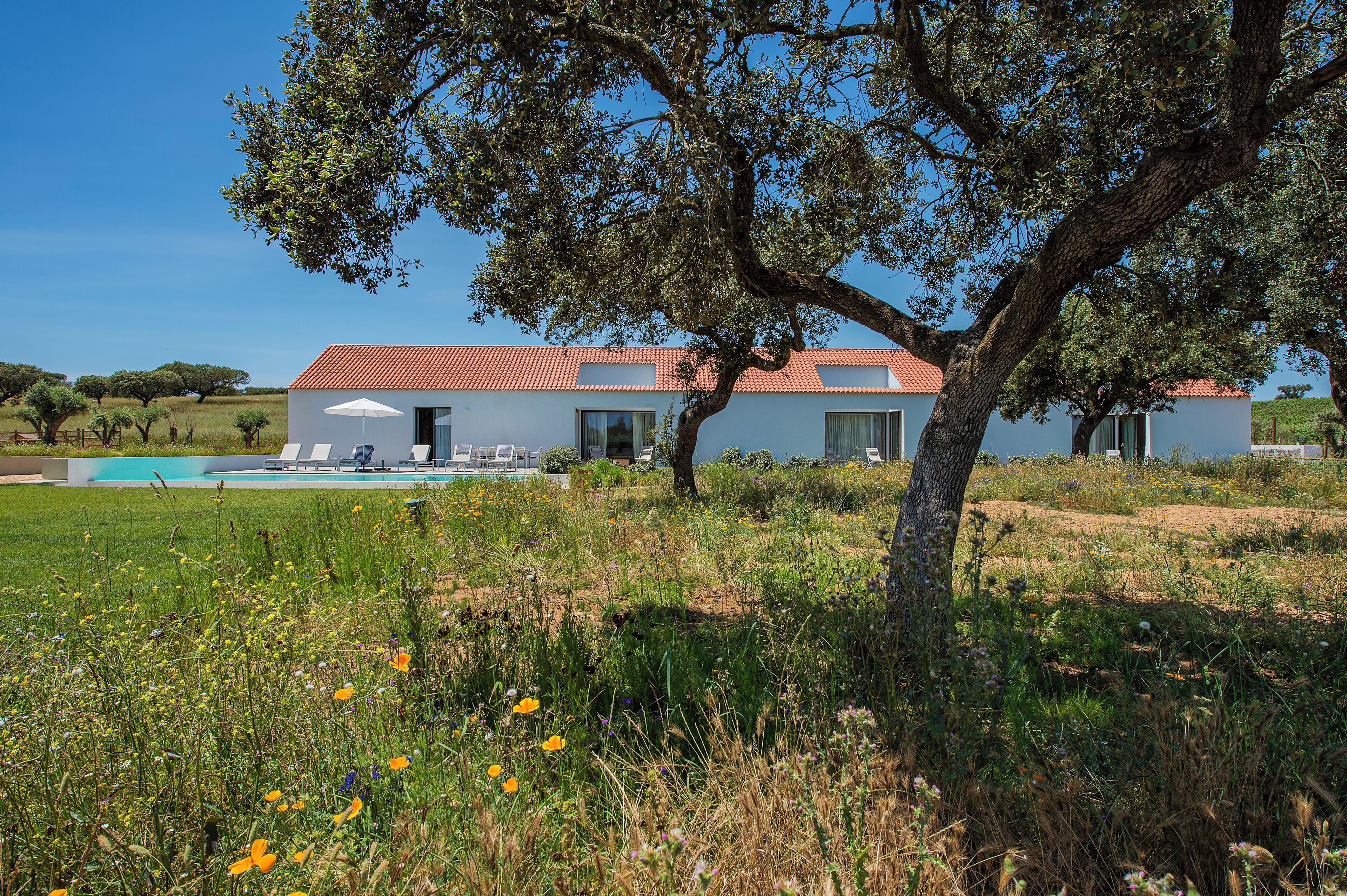 A modern house with a swimming pool, surrounded by a grassy field and trees.