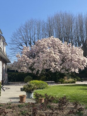 Property grounds - Renovated apartment in a quiet Anglo-Norman house (Mouvaux)