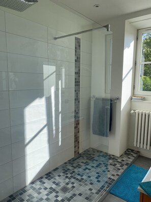Shower, hair dryer, towels, soap