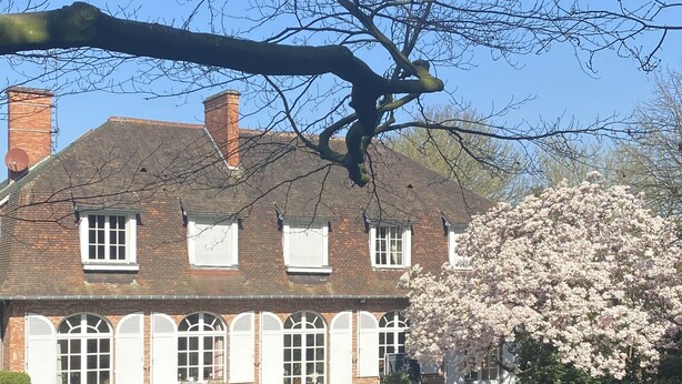 A two-story brick house with white shutters, a well-maintained lawn, and a large flowering tree to the right.