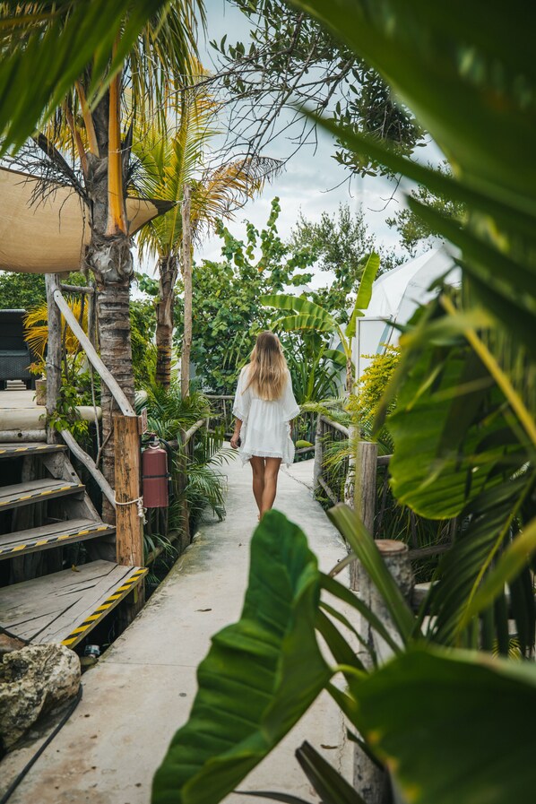 Interior entrance - Chiibal Uh (Tulum)