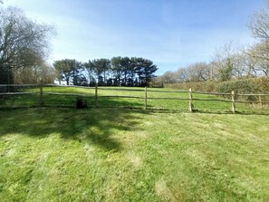 A grassy field with a wooden fence and trees in the background.