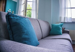 智能电视、壁炉、DVD 播放器、书