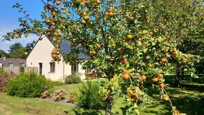 A residential property with a well-maintained garden, a house with a gabled roof, and a tree bearing fruit. - Le Clos des Pommiers (PAIMPOL)