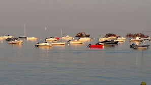 Un port esportiu amb diverses embarcacions amarrades.