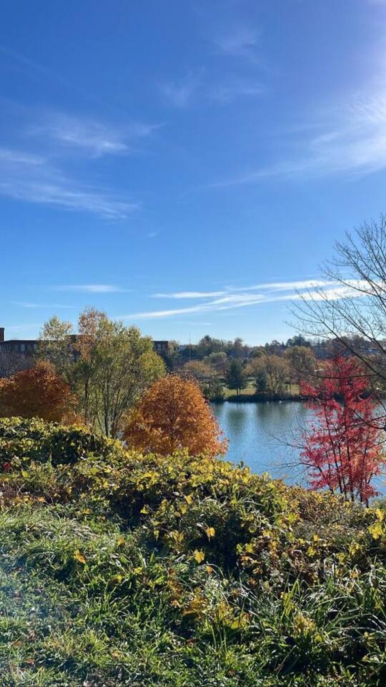 Un lago rodeado de árboles con follaje otoñal, cielo despejado y un edificio al fondo.