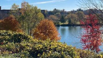 Un lago rodeado de árboles con follaje otoñal, cielo despejado y un edificio al fondo.