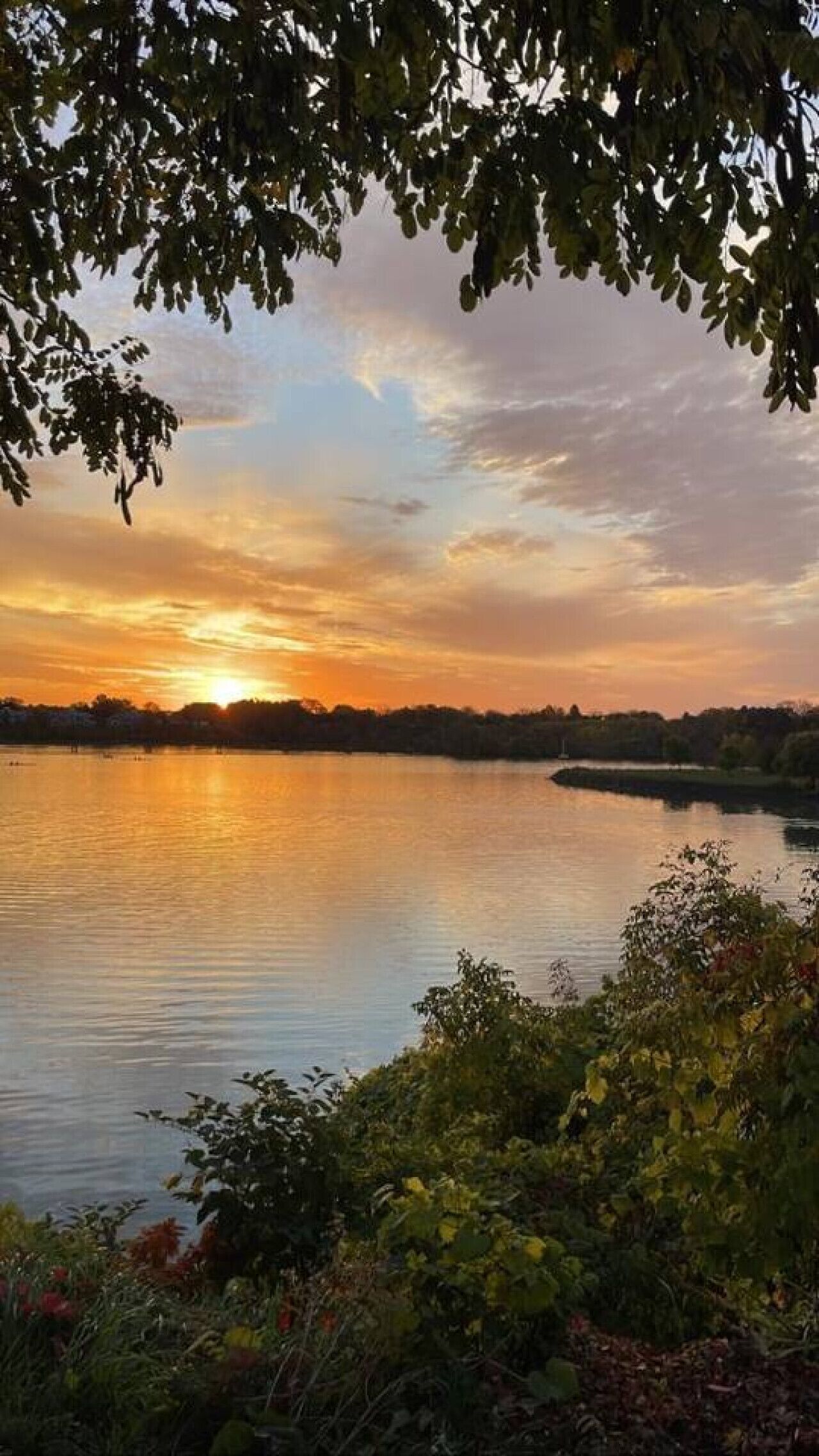 Ruhiger See bei Sonnenuntergang, stilles Wasser und umliegendes Grün.