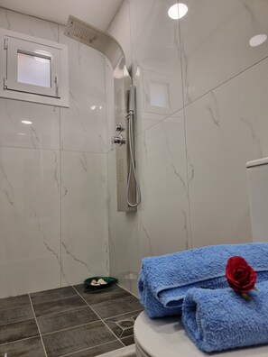 Douche, baignoire à remous, séchoir à cheveux, serviettes fournies