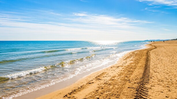 Ein Strand mit blauem Himmel und ruhigem Wasser.