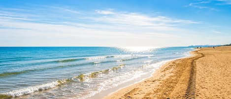 海灘