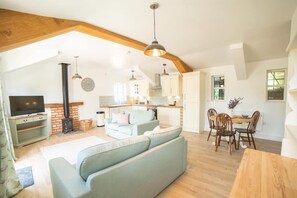 Cabin | Living room | Fireplace