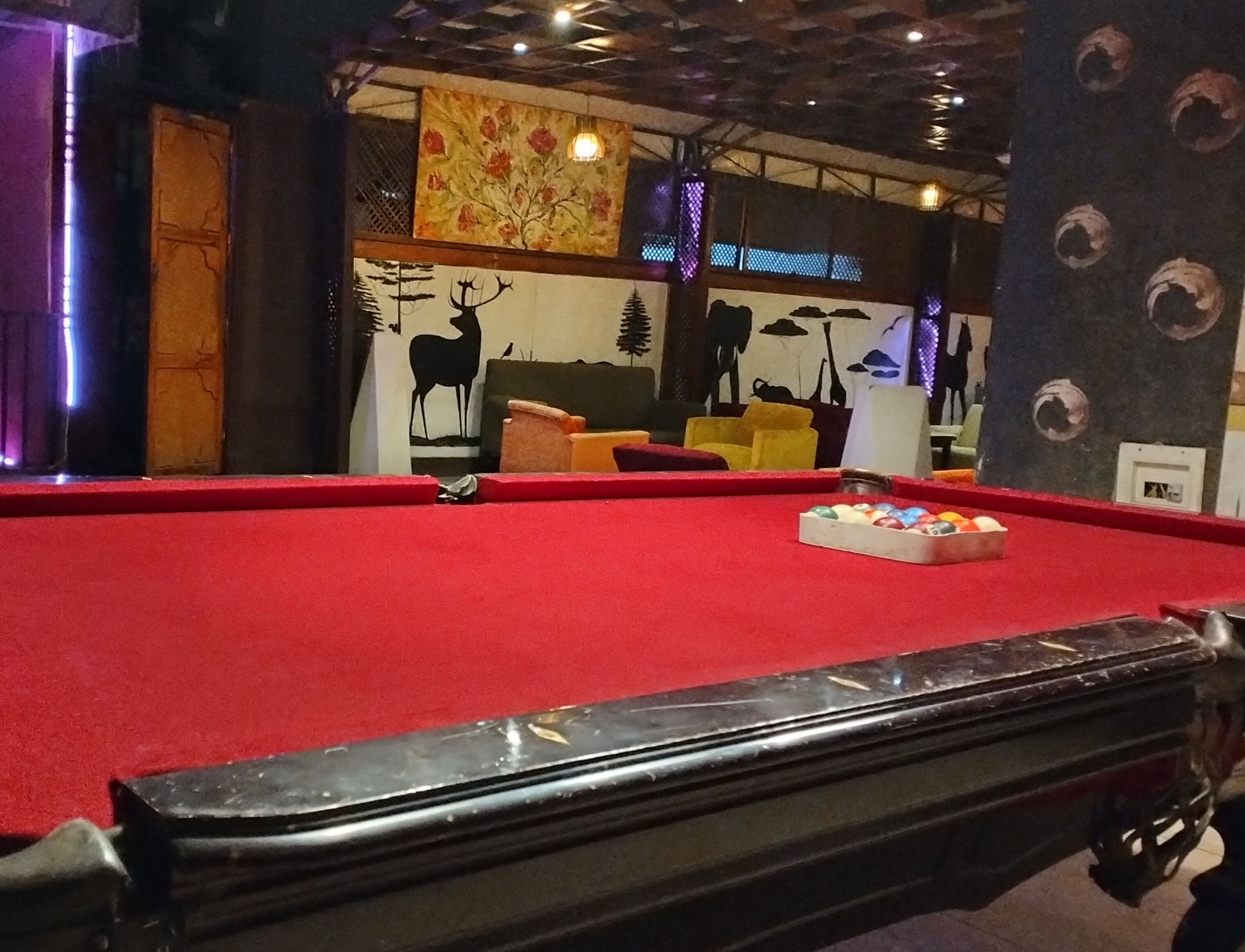 Foto - Viking Club Hotel
