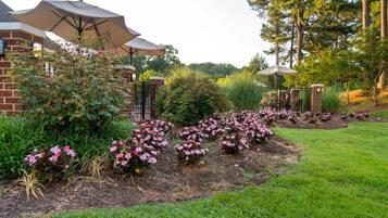 Terrein van de accommodatie