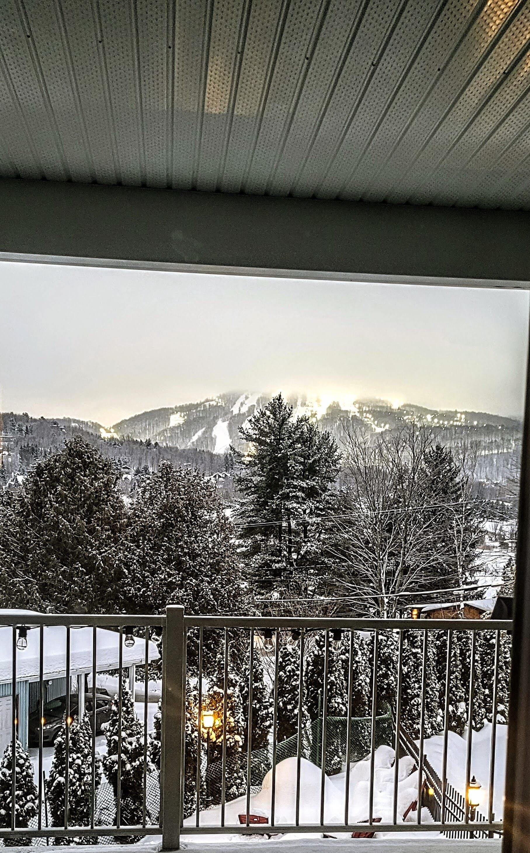 舒适公寓式客房 | 露台