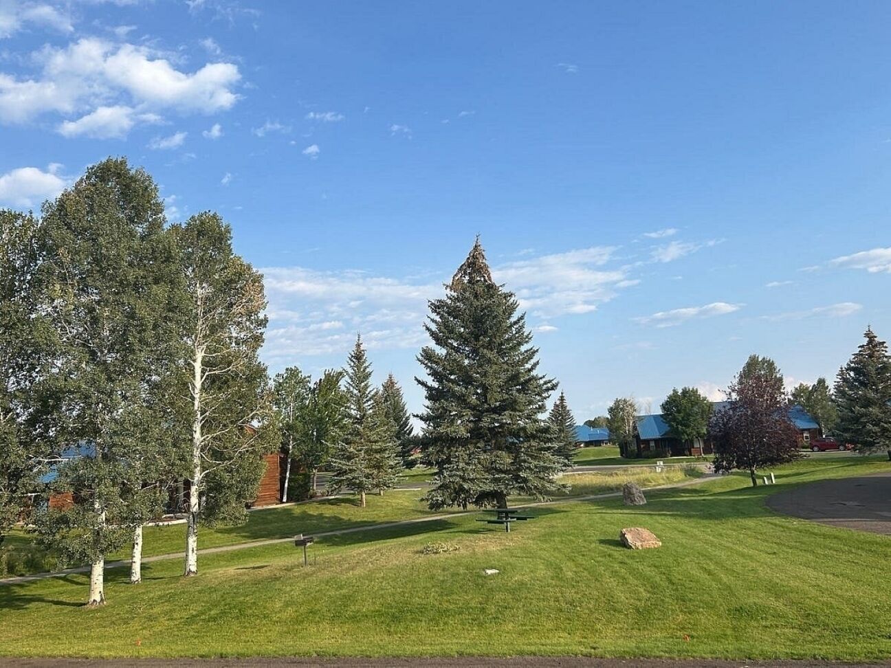 A grassy area with trees and a bench.