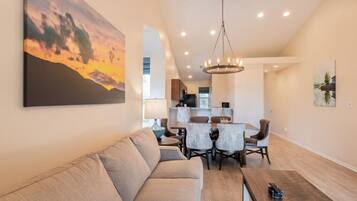 TV, fireplace, video games, DVD player