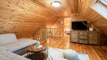 Télévision, cheminée, chaßne hi-fi