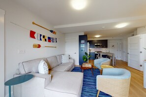 Télévision, cheminée, livres, chaîne hi-fi