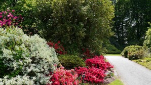 A garden with a gravel path, various shrubs, and trees. - Croftdean -  a house that sleeps 6 guests  in 3 bedrooms (Dalbeattie)