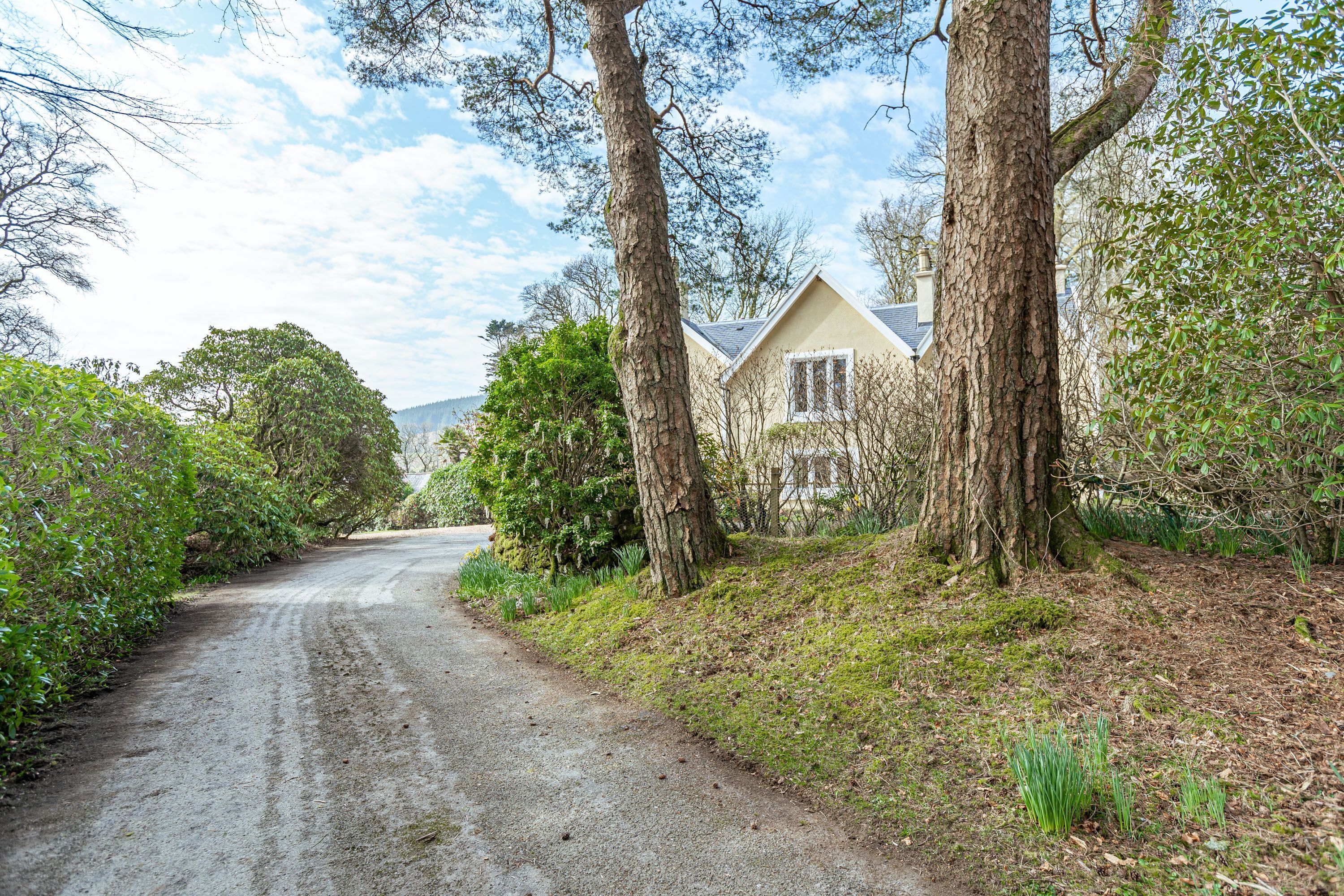 A rural road flanked by trees and a house with a sloped roof.