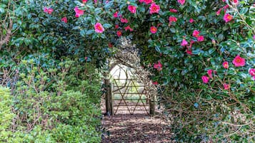 Jardines del alojamiento