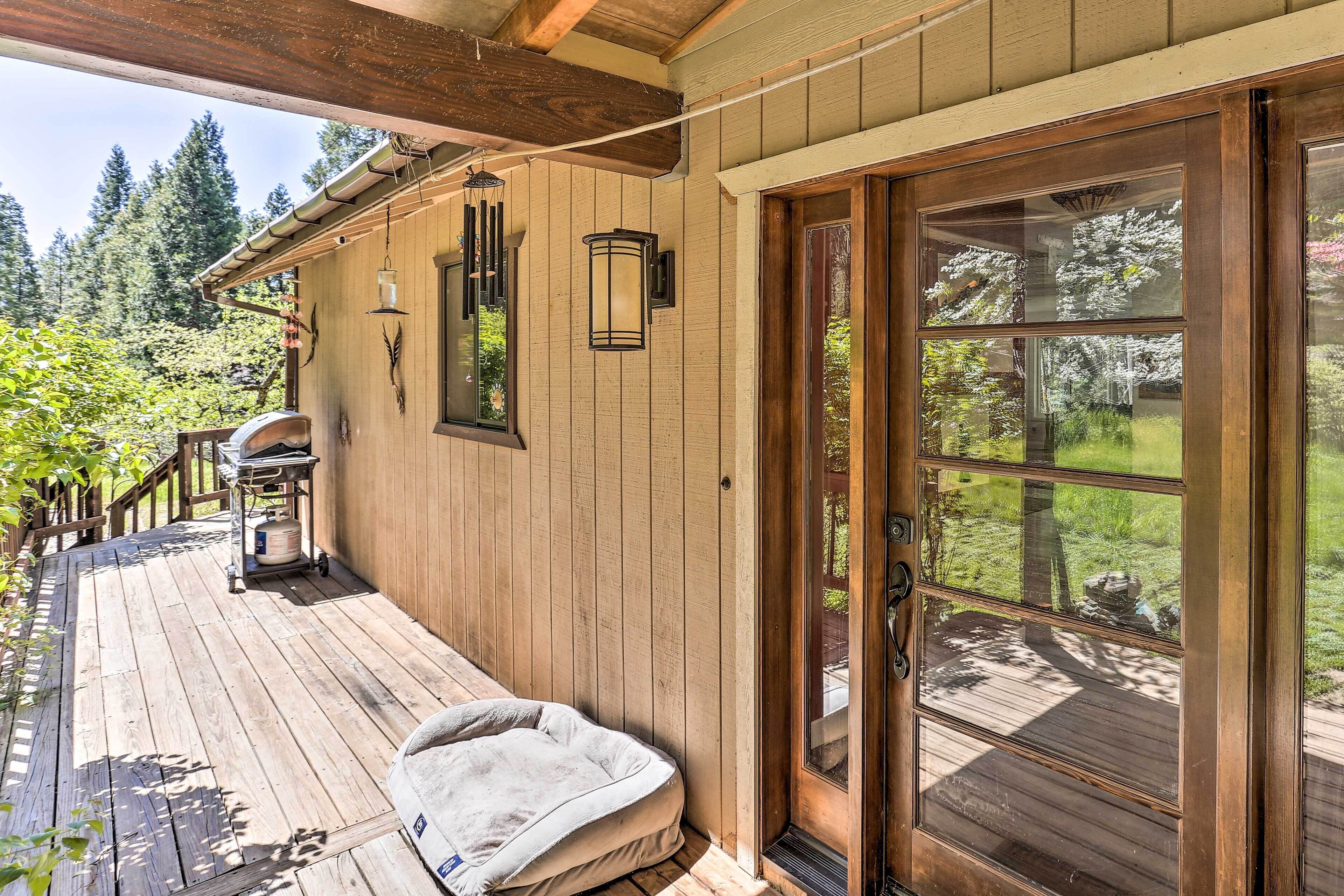 A wooden deck with a dog bed, a grill, and a gas tank.