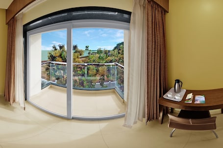 Superior Room | View from room