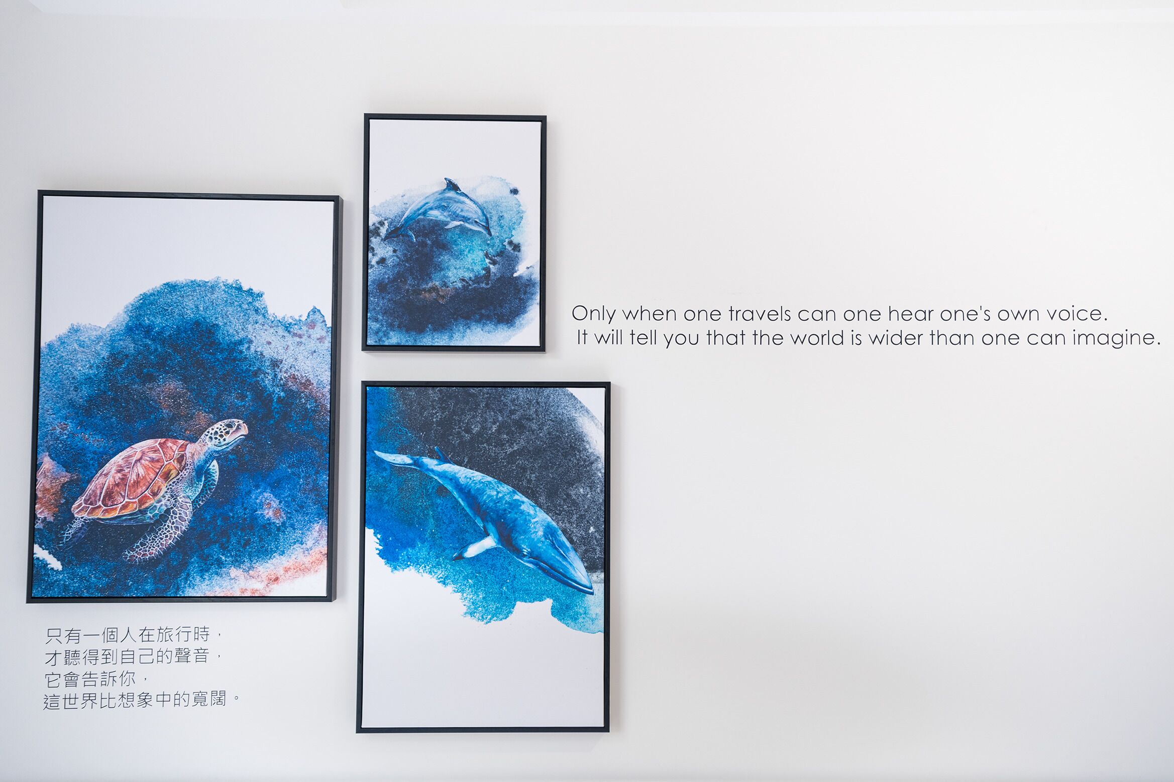Three framed artworks depicting marine life, with a quote about travel and self-discovery.