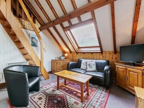 TV, DVD player - Beautiful apartment near ski resort (La Bresse)