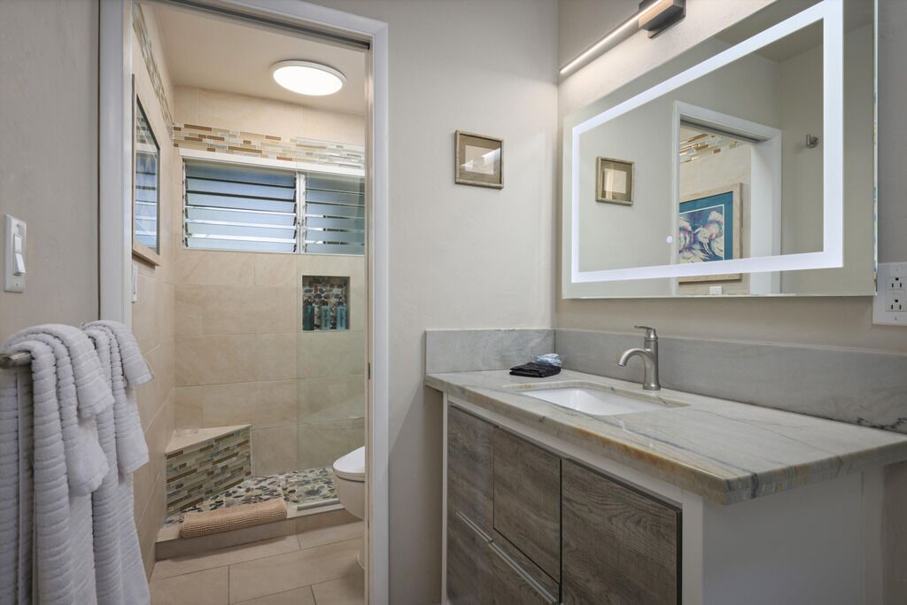 Hair dryer, bidet, towels