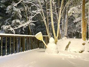 Terrace/patio - IPPUKAKU (Tsumagoi)
