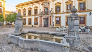 Ein Innenhof mit Brunnen, Kopfsteinpflaster und einem Gebäude mit klassischer Fassade.