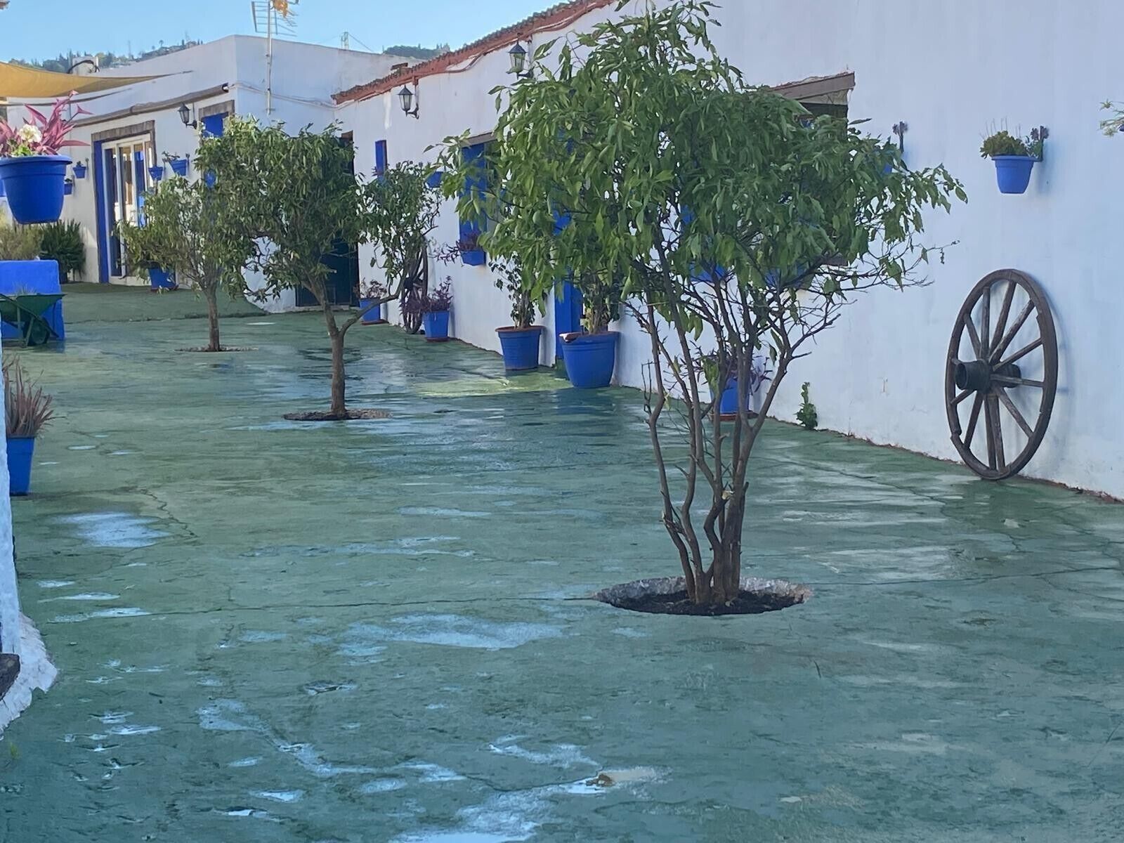 Terrein van de accommodatie