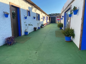 A narrow alleyway with white buildings, blue doors, and potted plants.