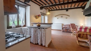 Une cuisine équipée d’une cuisinière à gaz, un coin repas avec une chaise en osier et un canapé.