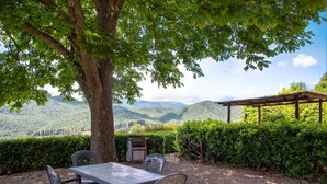 An outdoor dining area with a table and chairs, a tree, and a view of hills.