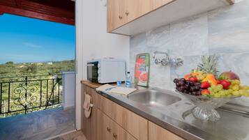 Classic Apartment | Private kitchen