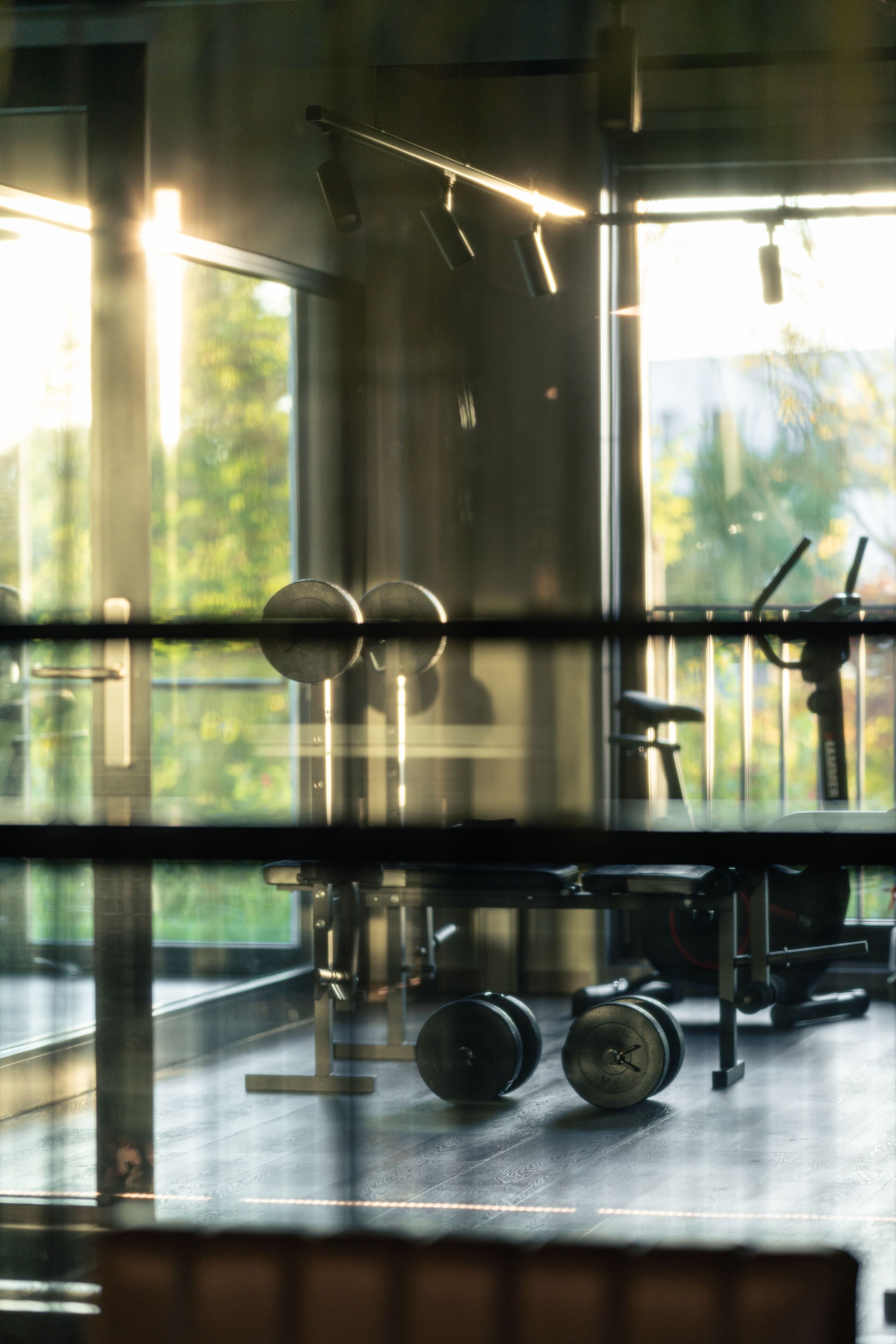 Une salle de sport équipée de matériel d’exercice, dotée de grandes fenêtres et offrant une vue sur la verdure environnante.