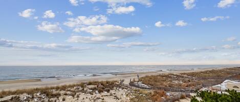 A beach with a wooden fence, sandy dunes, and a clear sky.