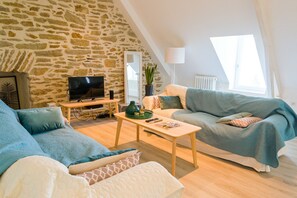 Télévision, cheminée, lecteur de DVD