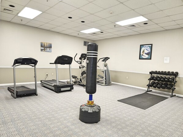 A gym with treadmills, elliptical machines, a punching bag, and a rack of dumbbells.