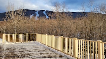 Terrain de l’hébergement