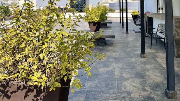 Una terraza en la azotea con plantas en macetas, mobiliario exterior y vistas de edificios de la ciudad.