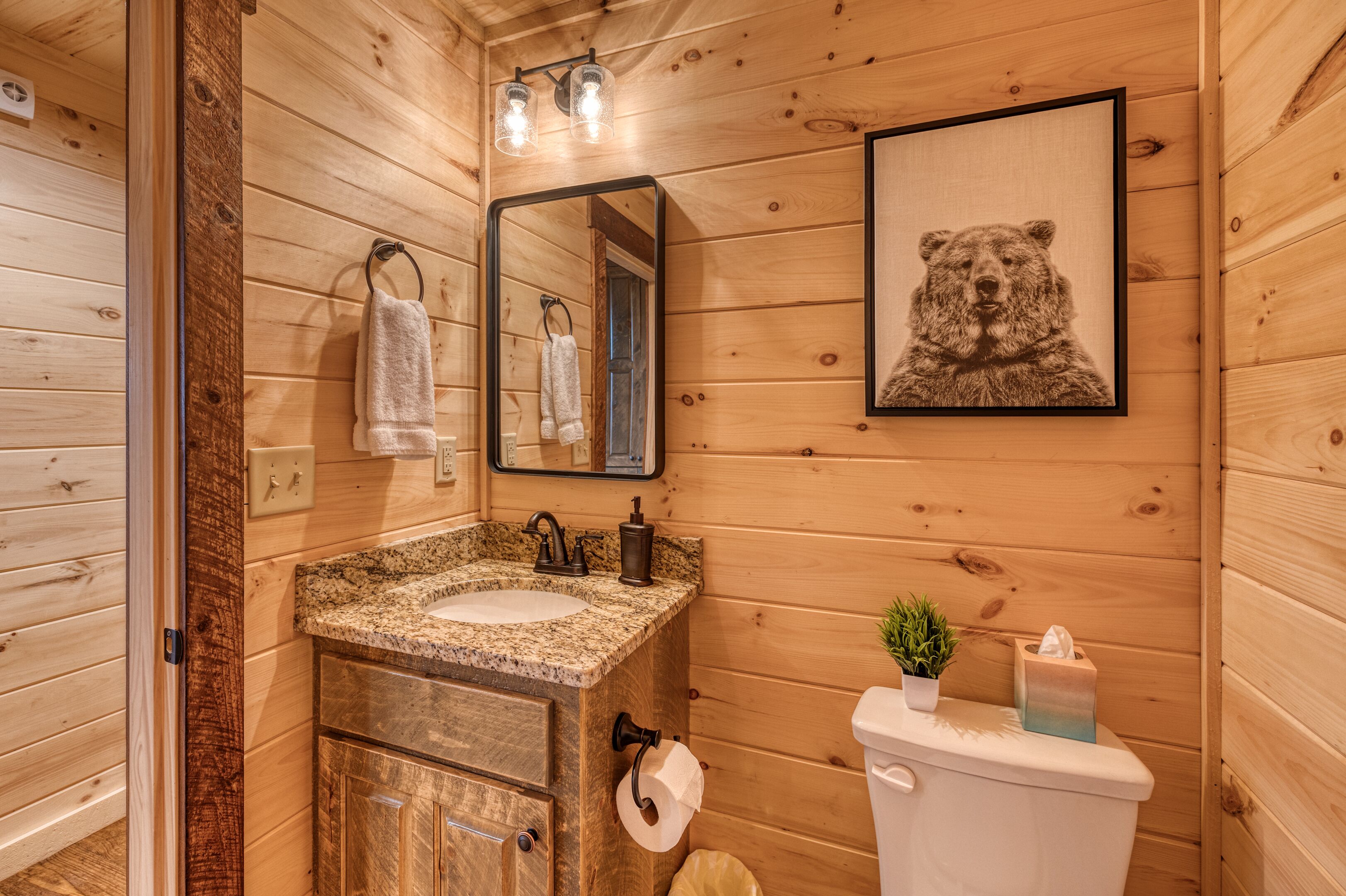 A wooden cabin bathroom with a granite sink, a mirror, a framed bear picture, and a toilet with a tissue box.