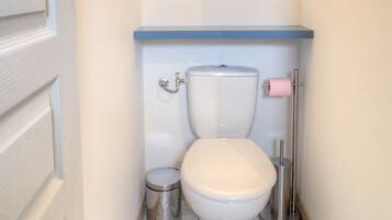 Shower, toilet paper