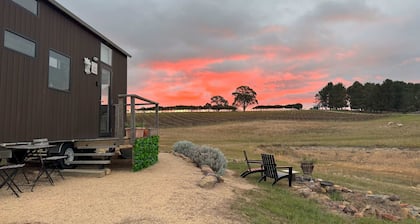 Little Lady Cabin by Tiny Away