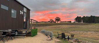Little Lady Cabin by Tiny Away