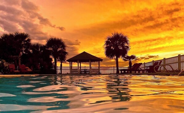 Relax by the serene pool surrounded by a gazebo and palm trees.